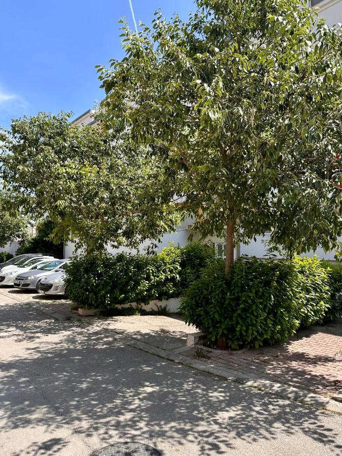 Apartment Tranquilo Сплит Екстериор снимка